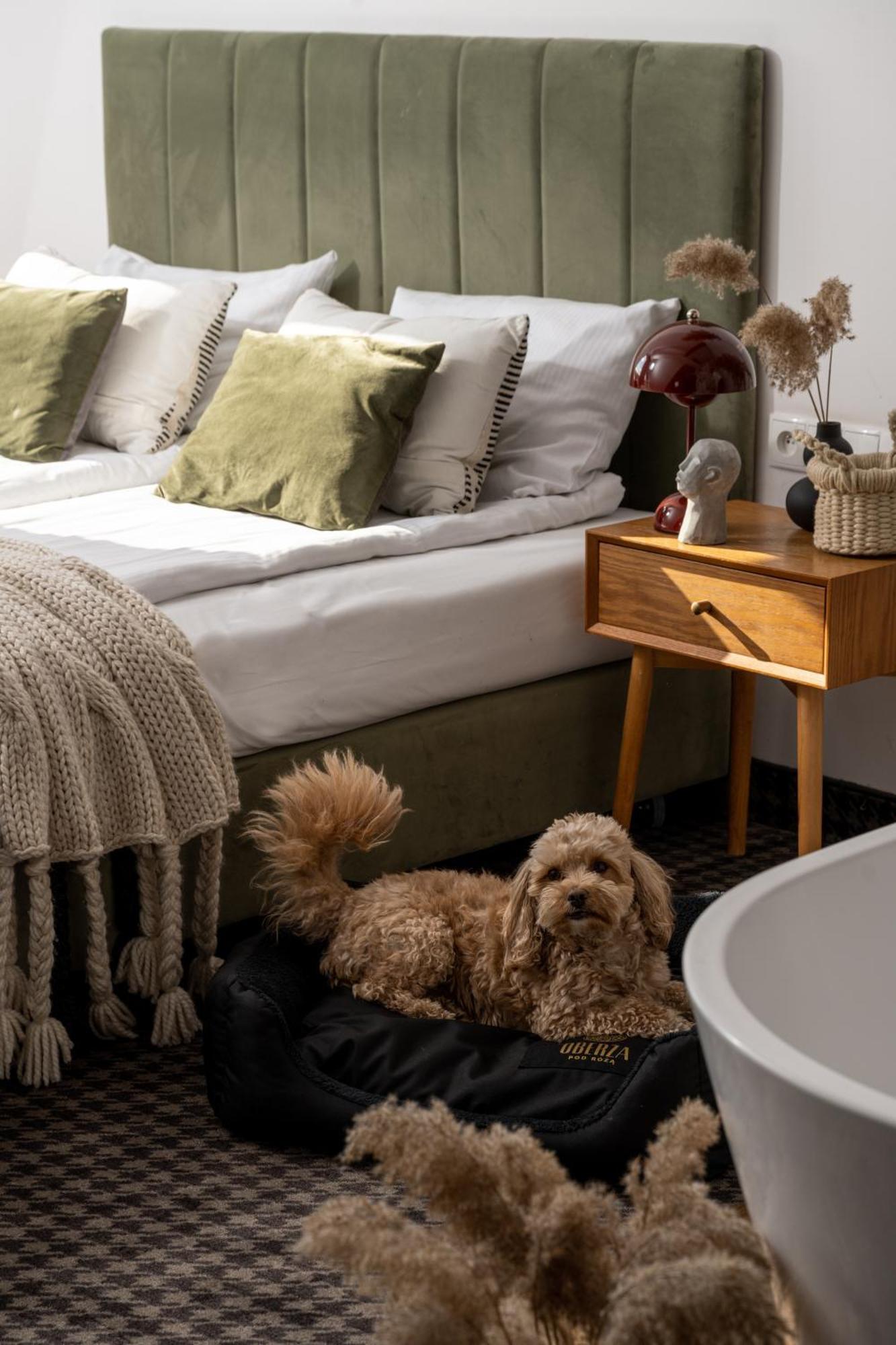 노비 타르그 Oberza Pod Roza Restauracja, Sauny, Jacuzzi B&B 외부 사진